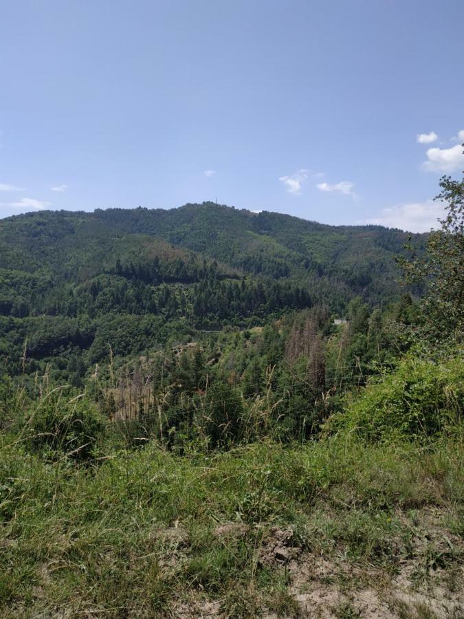 Вила Баните Экстерьер фото